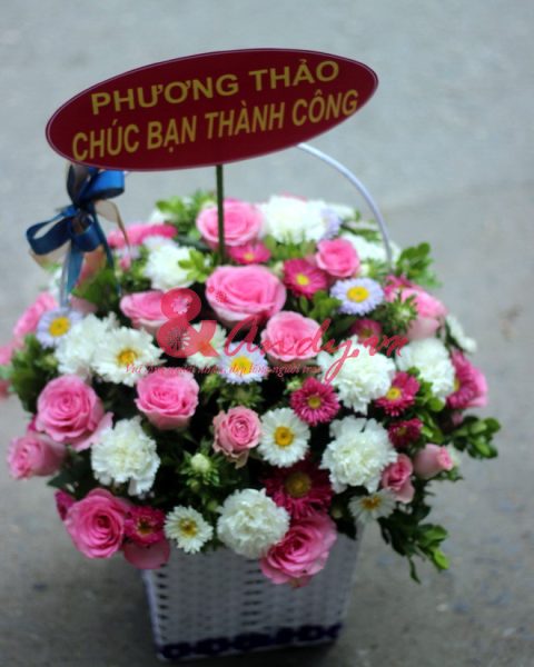 Hoa hồng trắng, đỏ